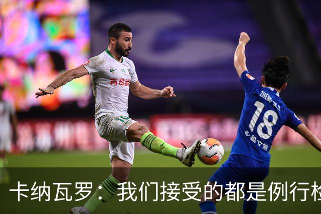 卡纳瓦罗：我们接受的都是例行检查，没有不体面或不尊重的对待