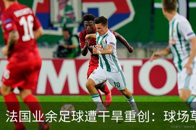 法国业余足球遭干旱重创：球场草坪枯黄干裂，新赛季举步维艰